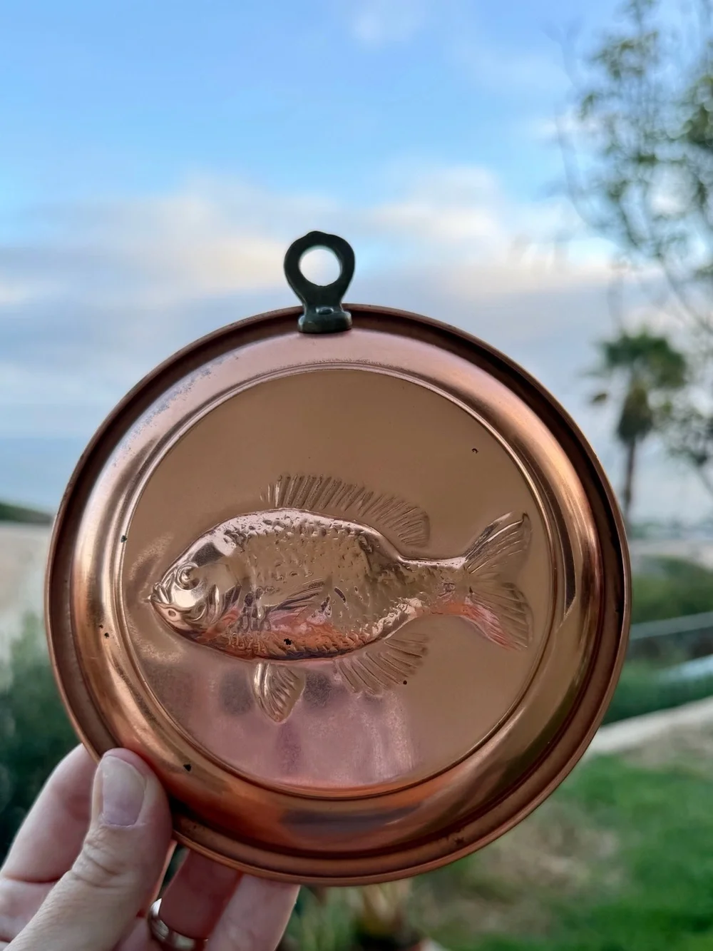 Decorative Rose Copper Fish & Palm Wall Plaques - Set of 2